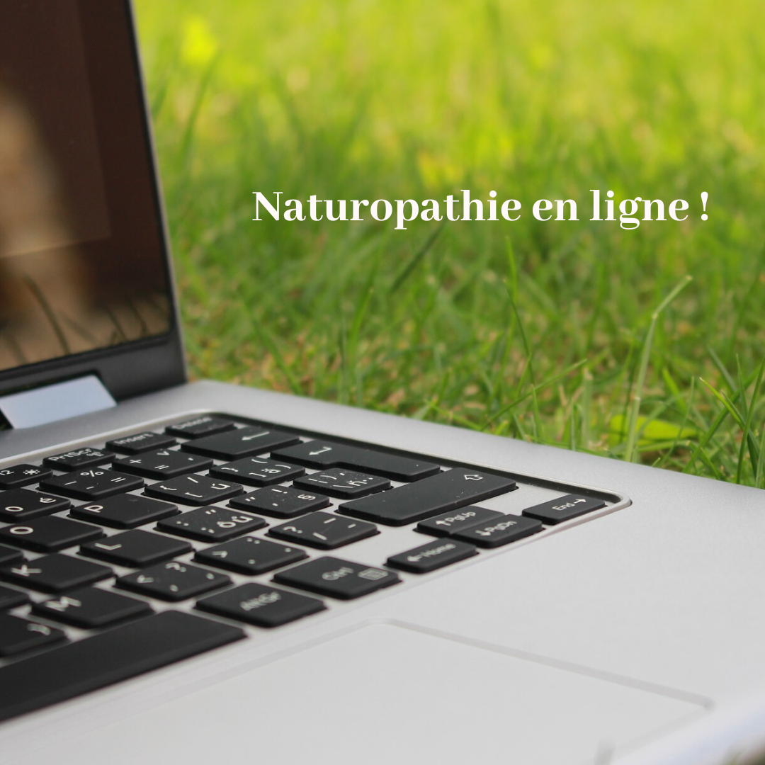 Naturopathie en ligne ! naturopathe35.fr