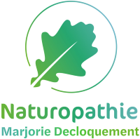 SantéOnaturel Logo